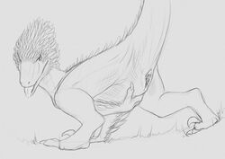 2017 alysara aroused black_and_white claws crotch_grab dinosaur feathered_dinosaur feathers female feral grope monochrome open_mouth pussy_juice raised_tail raptor saliva side_view simple_background sketch solo theropod tongue tongue_out vertical_cloaca white_background yaroul