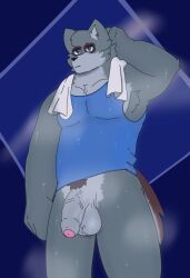 anthro athletic_wear balls big_penis bodily_fluids bottomless bottomless_male canid canine canis clothed clothing clothing_lift flaccid fluffy fluffy_tail foreskin genitals hi_res humanoid_genitalia humanoid_penis hybrid male mammal muscular muscular_anthro muscular_male musk musk_clouds musky_balls musky_penis nitrozy password_(visual_novel) penis piercing procyonid pubes raccoon raised_clothing raised_shirt raised_topwear saggy_balls shirt shirt_lift shirt_up solo sweat sweaty_genitalia tail tank_top topwear towel tyson_(password) wolf