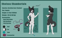 2017 anthro barrette bone canine canine chelsea_chamberlain chibi collar female fuzzywuff heart karelian_bear looking_at_viewer mammal model_sheet pads_(disambiguation) pawpads paws solo usb usb_necklace