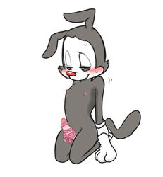 anthro blush bow embarrassed erection half-closed_eyes kneeling male male_only mammal nipples penis ribbons shaking simple_background solo sweat trembling yakko_warner zehn