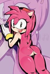 amy_rose ass female furry nude_female sega sonic_(series) sonic_the_hedgehog_(series) xrobinsfw