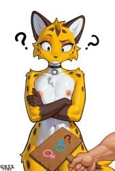 ? ai_generated ambiguous_gender androgynous anthro blue_eyes censored_genitalia choker crossed_arms felid feline furry nipples nude onyx_tyru question_mark raised_eyebrows spotted_body spotted_fur white_background wooden_sign yellow_fur