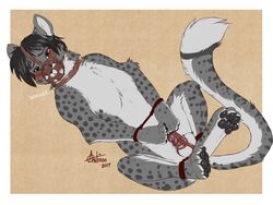 anthro antiroo bondage bound captive chastity chastity_cage chastity_device cheetah collar feline feral furry helpless hindpaw leopard male male_chastity malesub mammal muzzle pawpads paws precum snow_leopard snowy_cheetah solo