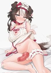 1girl animal_ears animal_penis apron bandaid bibi_biscuit black_hair blue_eyes breasts closed_mouth collar commentary corrupted_twitter_file dog_ears dog_girl dog_penis dog_tail english_commentary futanari half-erect heart highres knotted_penis large_breasts leash lifting_own_clothes looking_at_viewer multicolored_hair navel penis phase_connect sleepypudding solo tail testicles uncensored virtual_youtuber