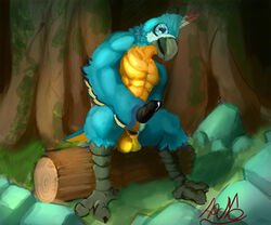 kass (zelda) from breath of the wild by wireframedragon