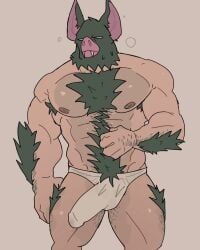 animal_head anthro balls bara bat big_ears body_hair boner bulge dekopaws dispatch_(game) erection erection_under_clothes for_a_head furry male male_only muscles muscular penis solo solo_male sonar_(dispatch) underwear underwear_only