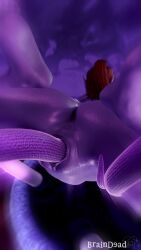 3d 3d_animation anal_sex animated blender blood_elf braindead_(artist) corrupted corruption elf elf_ears oral purple_body purple_eyes purple_skin tagme tentacle tentacle_sex triple_penetration vaginal_penetration video video_games void_corruption_(warcraft) warcraft world_of_warcraft