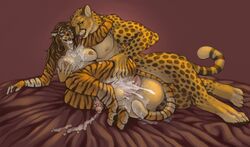 1boy 1futa 2017 animal_genitalia animal_penis anthro areola ass balls barbed_penis bed biceps big_balls big_breasts big_muscles big_penis black_nose blush breasts cheetah completely_nude cum cum_in_mouth cum_in_pussy cum_inside cum_on_bed cum_on_breasts cum_on_face cum_on_penis cum_on_sheets cumshot d-sui dickgirl dickgirl/male duo ejaculation equine_penis erect_nipples erection feline feline_penis fur futanari green_eyes hair hands-free handsfree_ejaculation hervy_(uchoa) hi_res horsecock huge_balls hyper hyper_balls hyper_penis intersex intersex/male jasiri long_hair male male_on_futa mammal multicolored_fur muscular muscular_male nipples nude nude_futanari nude_male open_mouth orgasm penetration penis pussy sex simple_background size_difference smile spots spotted_fur tiger two_tone_fur uchoa vaginal_penetration white_fur