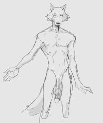 anthro balls beastars big_penis furry legoshi_(beastars) male male_only monochrome nude penis solo solo_male tora_gy wolf