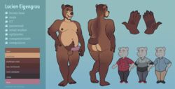 bear brown_bear brown_fur facial_hair fan_character fur junga mammal model_sheet pubes slightly_chubby