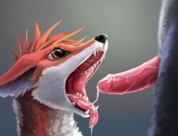 ambiguous_gender anthro canine cum cum_in_mouth cum_inside cum_on_tongue duo fellatio fox fur humanoid_penis interspecies mammal oral penis sex simple_background smoothie_(artist) tongue vein veiny_penis