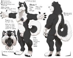 akkusky animal_genitalia anthro balls canine english_text fully_sheathed fur male mammal model_sheet nude sheath solo standing tattoo text tongue tongue_out