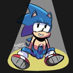 1boy 2017 balls erection hedgehog humanoid_penis looking_at_viewer male male_only mammal penis seductive_eyes seductive_look seductive_smile sitting sitting_down solo sonic_(series) sonic_the_hedgehog spotlight syaokitty