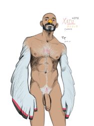 balls beard big_penis body_hair facial_hair flaccid gijinka male male_only nintendo nude penis pokemon solo solo_male terratauren xatu