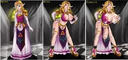 princess zelda from nintendo by shadman