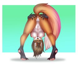 2017 anthro anus ass ass_up bent_over breasts brown_hair canine eyewear female fox glasses hair hand_on_ass leargini looking_at_viewer mammal nipples pawpads presenting presenting_hindquarters pussy raised_tail simple_background solo spread_ass spreading wolfpack67