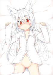 animal_ears bed_sheet blush bottomless buttons female female fox_ears fox_tail hands_up hinotama long_hair long_sleeves looking_at_viewer lying multicolored_eyes naked_shirt on_back original pussy red_eyes shirt sleeves_past_wrists solo tail unbuttoned uncensored white_hair white_shirt yellow_eyes