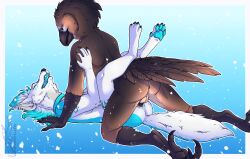 2futas absurd_res anthro artica_sparkle avian bird canid canine completely_nude duo fox full-package_futanari futa_on_futa futa_only futanari genitals herm hi_res implied_futanari intersex intersex/intersex invalid_tag mammal neonpeppermint nude nude_futanari penetration pressed_together pussy slim vaginal_penetration