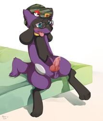 alternate_color animal_genitalia animal_penis balls black_fur blue_eyes blush canine_penis cute_fangs erection eyewear fur glasses hat male masturbation nintendo penis pokemon precum purple_fur riolu simple_background sitting solo tongue tongue_out video_games zuriku