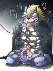 bondage bound canine cock_ring drooling erection fenrir_(tokyo_afterschool_summoners) koginoro_28 male male_only mammal mohawk penis piercing precum rope rope_bondage rope_harness saliva tattoo tokyo_afterschool_summoners tongue wolf