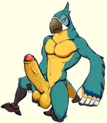 1boy 5_fingers anthro armpits avian balls beak big_balls big_penis biped bird blue_feathers blue_tail breath_of_the_wild crest erection feathers huge_cock humanoid_penis kass_(zelda) koorivlf looking_at_viewer macaw male male_only multicolored_feathers multicolored_penis muscular muscular_male navel nintendo nude parrot pecs penis pink_penis pose rito seductive simple_background sketch smile solo tail_feathers teasing the_legend_of_zelda two_tone_penis two_tone_tail uncut vein veiny_penis video_games white_background yellow_balls yellow_countershading yellow_feathers yellow_penis yellow_tail