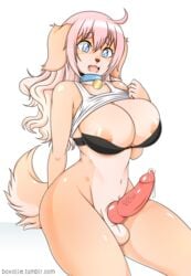 1futa animal_genitalia animal_penis anthro areola_slip balls big_breasts biped blue_eyes boxollie bra breasts brown_nose canine canine_penis collar dickgirl eyelashes fluffy fluffy_tail fur furry futanari highres huge_breasts intersex knot mammal messy_hair multicolored_fur open_mouth penis pink_hair pink_tongue precum pubic_hair raised_shirt red_penis shirt short_tail simple_background solo tan_fur tank_top tongue two_tone_fur underwear vein veiny_penis white_fur