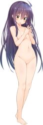 5240mosu :o ahoge barefoot breasts collarbone female fingers_together full_body greatmosu highres large_breasts long_hair natsuiro_koi_uta navel nipples nude official_art purple_hair shiny shiny_skin suwa_shion transparent_background yellow_eyes