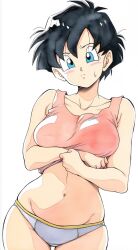 videl from dragon ball by jei games