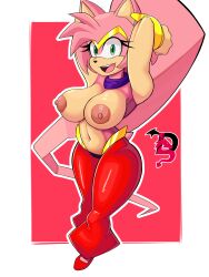 amy rose from sega by 69lewddragon69