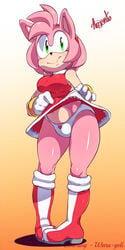amy rose from sega by argento