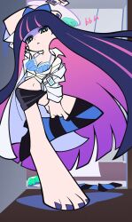 stocking anarchy from new panty & stocking with garterbelt