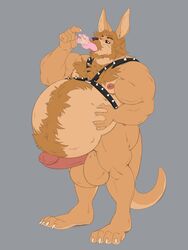 anthro belly big_belly erection facial_hair furry hairy male mammal moustache muscular razyrion swallowing vore