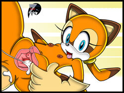 1girls blue_eyes completely_nude cub cum cum_inside faceless_male female female_focus flat_chest furry furry_female gloves human_on_anthro male_human/female_anthro male_on_anthro marine_the_raccoon navel nipples nude pussy sega simple_background sonic_(series) sonic_team sonic_the_hedgehog_(series) spread_legs spread_pussy straight_hair tagme tongue tongue_out zetar02