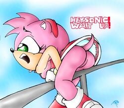 amy_rose beige_skin color drs female female_only fur furry hedgehog pink_fur sega skin solo sonic_(series) straight_hair