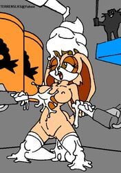 anthro breasts dr_robotnik female fur human ice_cream indoors interspecies kneeling male mammal nude rabbit sega silhouette solo_focus sonic_(series) straight_hair tagme terrenslks vanilla_the_rabbit wink