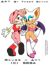 amy_rose rouge_the_bat sega sonic_(series) straight_hair tiger_skunk