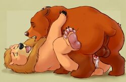 2017 animal_genitalia animal_pussy anus backsack balls bear brother_bear brown_fur closed_eyes cum cum_in_pussy cum_inside disney duo female feral feral_on_feral fur grizzly_bear kenai legs_up lying male male_penetrating mammal marjani missionary_position on_back open_mouth penetration penis pussy sex simple_background straight tan_fur teeth testicles vaginal_penetration yellow_background