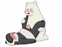 anal anal_sex bear blush cartoon_network cum ice_bear lying male mammal missionary_position on_back panda panda_(character) penetration penis polar_bear sex simple_background slightly_chubby somcrule we_bare_bears white_background yaoi