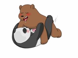 anal anal_sex bear blush cartoon_network cum drooling grizzly_(character) grizzly_bear lying male mammal missionary_position on_back panda panda_(character) penetration penis saliva sex simple_background slightly_chubby somcrule we_bare_bears white_background yaoi