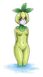 anthro breasts color female green_skin looking_at_viewer nipples nude petilil pokemon pussy re-enn small_breasts solo standing uncensored vulva water white_background