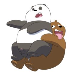 2016 2boys alpha_channel anal anal_sex bear cartoon_network cum from_behind furry gay grizzly_(character) grizzly_bear interspecies male male_only mammal panda panda_(character) penetration penis slightly_chubby tongue tongue_out treadway we_bare_bears