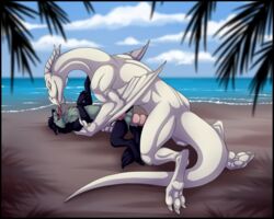 anal beach canine dragon feral male_only mammal penis seaside silvergrin tongue wolf zetsin