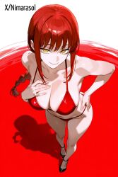 makima (chainsaw man) from chainsaw man