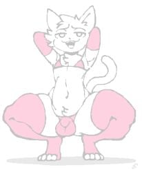 1boy big_thighs boykisser boykisser_(meme) femboy femboy_only hands_behind_head handwear legwear panties pink_handwear pink_legwear pink_panties presenting_hindquarters silly silly_cat_(mauzymice) solo squatting teasing thicc thick_thighs white_fur