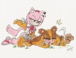 amy rose from sonic (series) by artist request