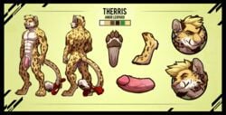 1boy 2017 4_toes abs amur_leopard anthro back_muscles balls barefoot bell biped black_border blonde_hair border brown_fur brown_pawpads brown_spots brown_tail cheek_tuft chest_tuft claws color_swatch digitigrade erection eyebrows feline flaccid fur green_eyes hair hi_res humanoid_penis leopard leopard_spots long_tail looking_at_viewer male male_only mammal model_sheet multicolored_fur multicolored_tail multiple_angles muscular muscular_male nude pawpads paws pecs penis pink_nose pink_penis retracted_foreskin ribbons short_hair simple_background smile smirk solo sorakirbys spots spotted_fur spotted_tail standing tail_bow tail_ribbon therris toe_claws toes tuft uncut vein veiny_penis white_balls white_claws white_fur white_tail yellow_background yellow_fur yellow_tail