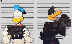 daffy duck from disney by forbobs2