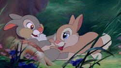 16:9 2017 bambi_(film) blossom_(bambi) blue_eyes brother brother_and_sister brown_eyes brown_fur buckteeth chest_tuft detailed_background disney duo fellatio female feral feral_on_feral flower fur grass grey_fur half-closed_eyes incest lagomorph lapine_penis leaning lying male mammal on_front open_mouth oral penis pink_nose plant rabbit sex sibling sister smile straight teeth the_giant_hamster thumper tongue tree tuft