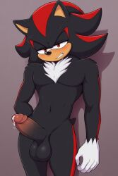 shadow the hedgehog from sonic (series)