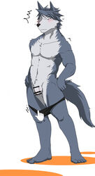 anthro armpits assisted_exposure balls canine censored clothing flaccid kouya_(morenatsu) male male_only mammal morenatsu penis rotton speedo swimsuit